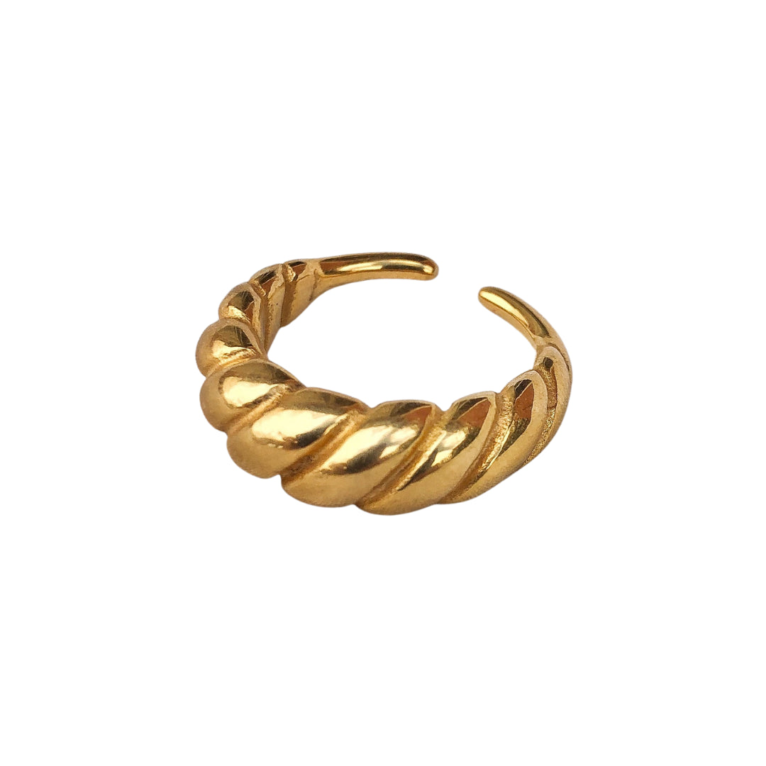 Blois ring