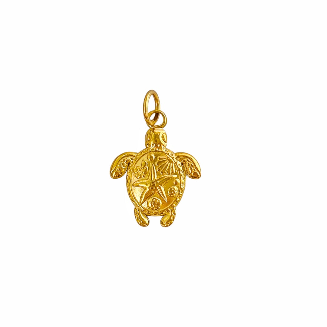 Charm Sea turtle