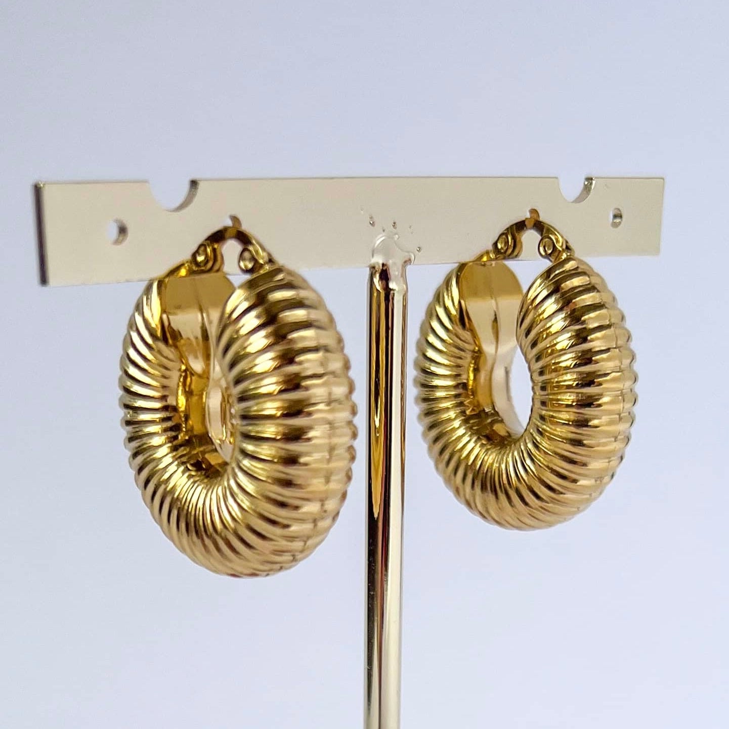 Fossil hoops